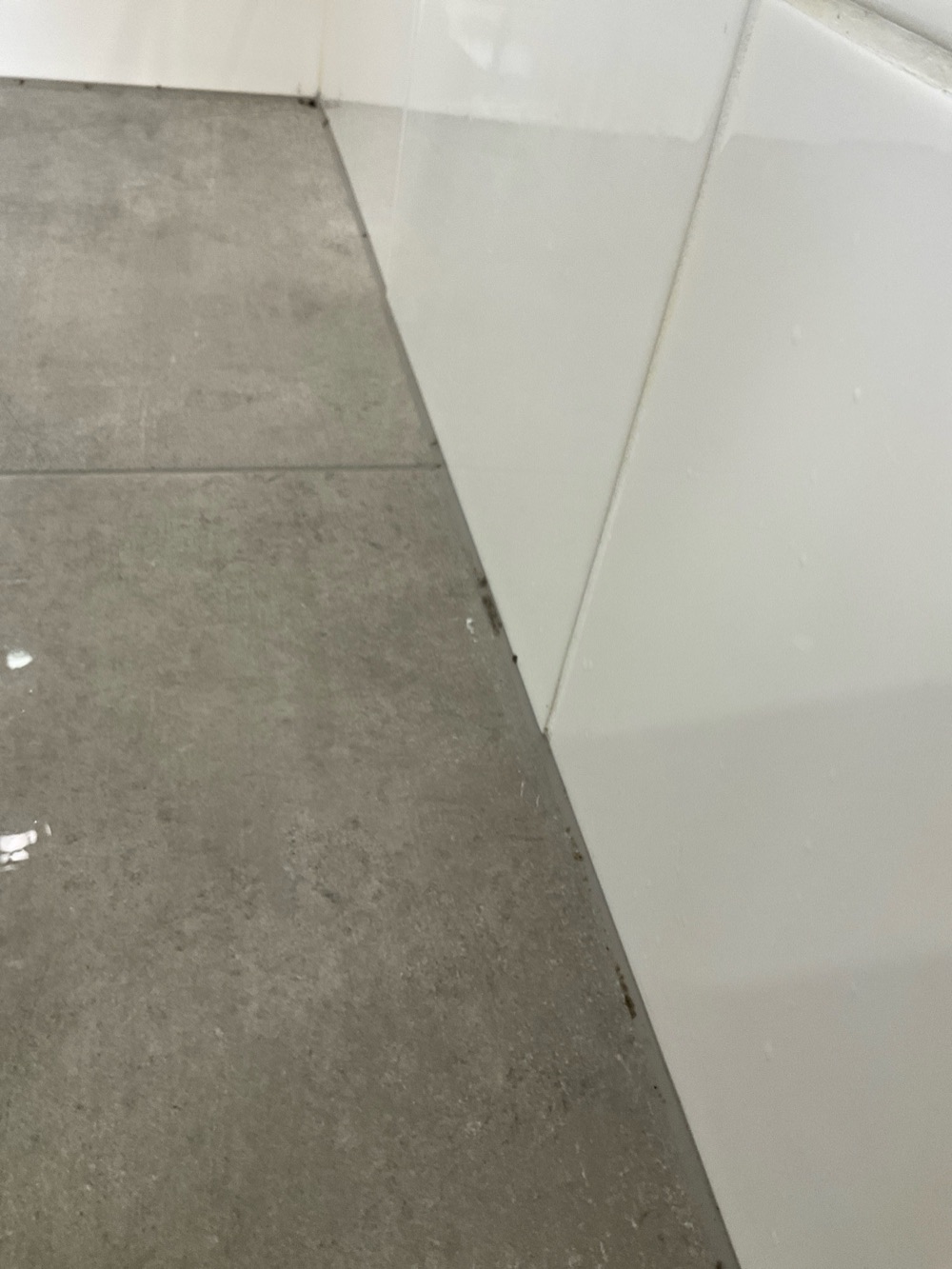 Mould in a Point Cook home and what it indicates