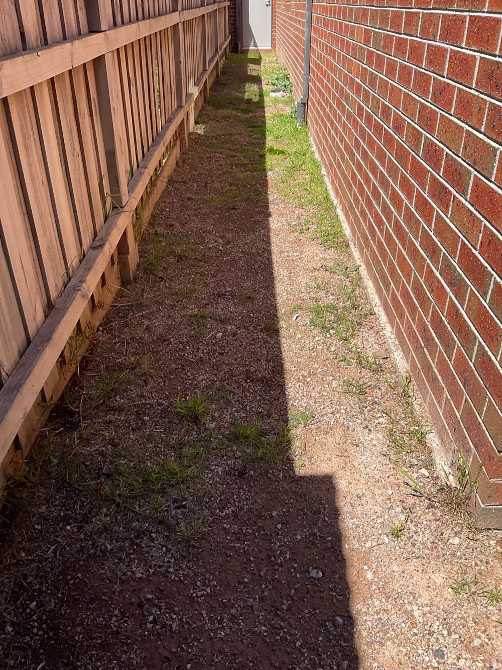 Building and Pest Inspections in Point Cook